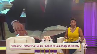 New Slang is Being Added to Cambridge Dictionary | August 20, 2025 | Day to Day with Mariah