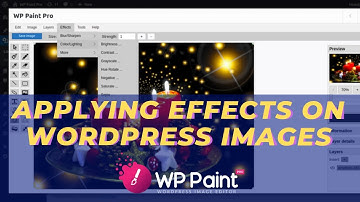 How to apply effects on WordPress Images using WP Paint Pro