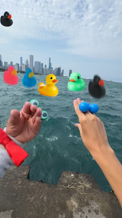 RAINING DUCKS! 😱