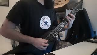 FLESHGOD APOCALYPSE - SOPHISTIC DEMISE GUITAR COVER