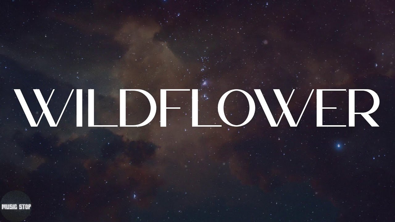 Billie Eilish - WILDFLOWER (Lyrics) Billie Eilish - WILDFLOWER (Lyrics)