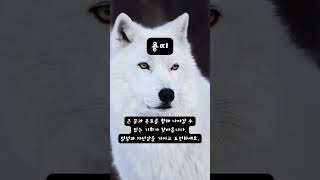 오늘의 운세 [토끼띠] [용띠] [뱀띠] 23년 05월 22일