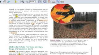 Chapter 15 Sticky Notes All
