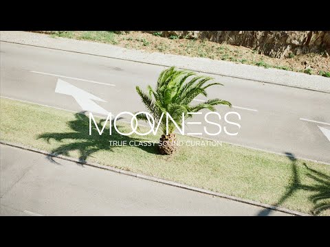 absofacto---rewind