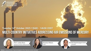 Multi-country initiatives addressing air emissions of mercury