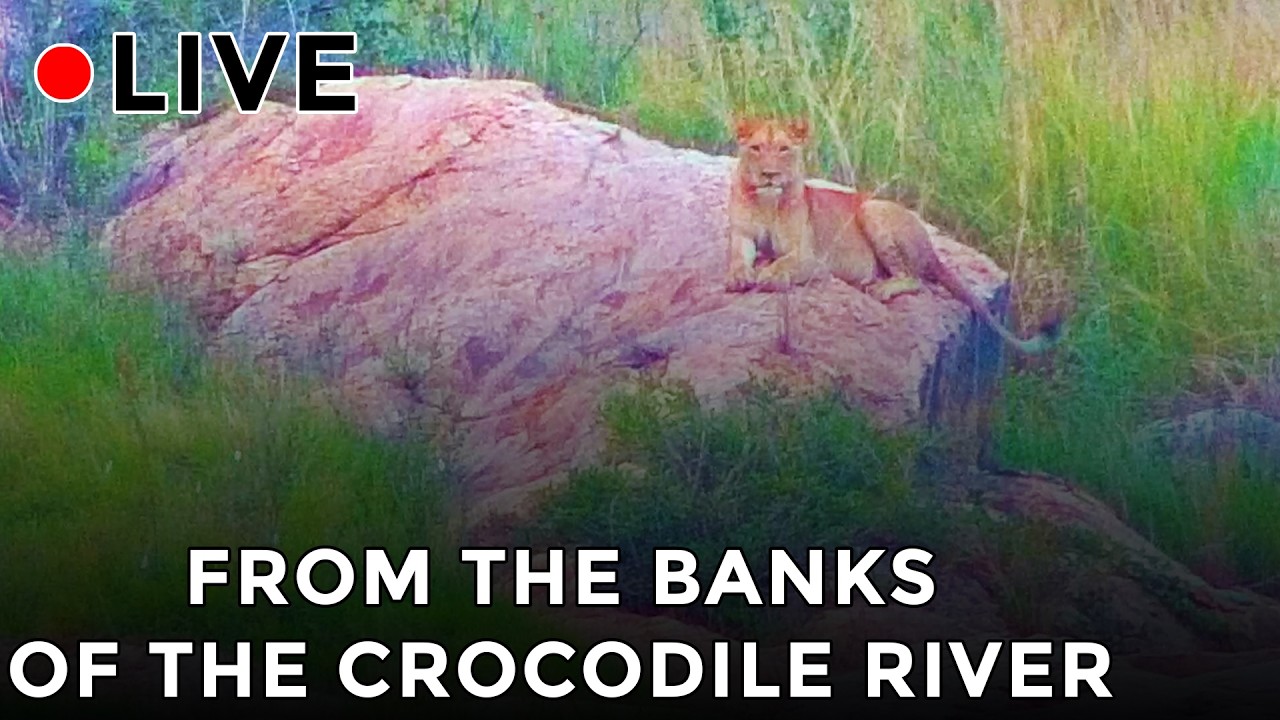 Crocodile River