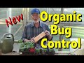 Basil and organic bug control 5142024