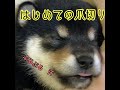 初めての爪切りに緊張(・.・;)