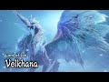 Velkhana Monster Hunter Rise Sunbreak Intro/ Ecology/ Cutscene