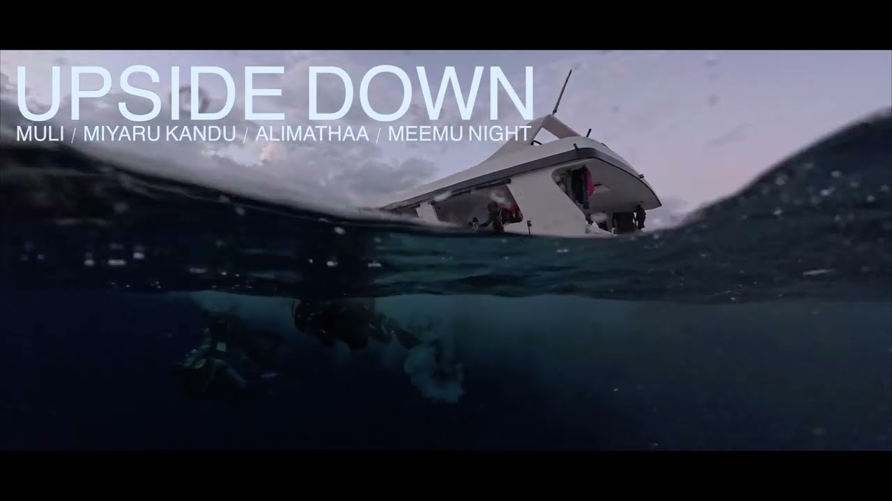 Vidéo intégrale / Croisière Grand Est T11 du 28 01 au 08 02 2026 4k