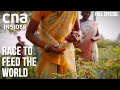 Land Matters: Unlocking Asia's Food Security Issue | Race To Feed The World | Part 1/3