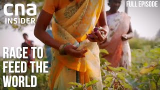 Land Matters: Unlocking Asia's Food Security Issue | Race To Feed The World | Part 1\/3