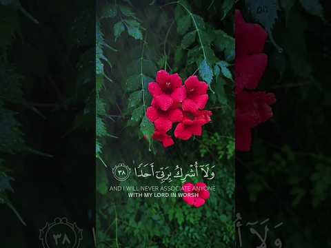 لكنا هو الله ربي ولا اشرك بربي أحدا هزاع البلوشي رعد الكردي قرآن تلاوة السعودية القرآن الكريم 