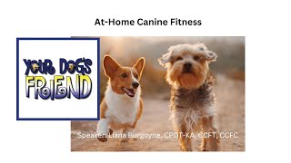 At-Home Canine Fitness 3-11-23 by YourDogsFriend 448 views 1 year ago 1 hour, 15 minutes