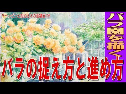 チャッピーと始める水彩画講座105 『バラの描き方』watercolor