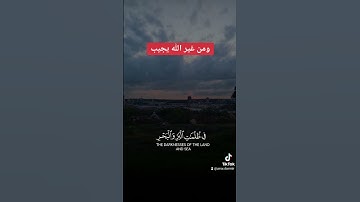 قرآن كريم بصوت جميل جدا #قرآن #قرآن_كريم #اكسبلور