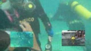 Diver Down