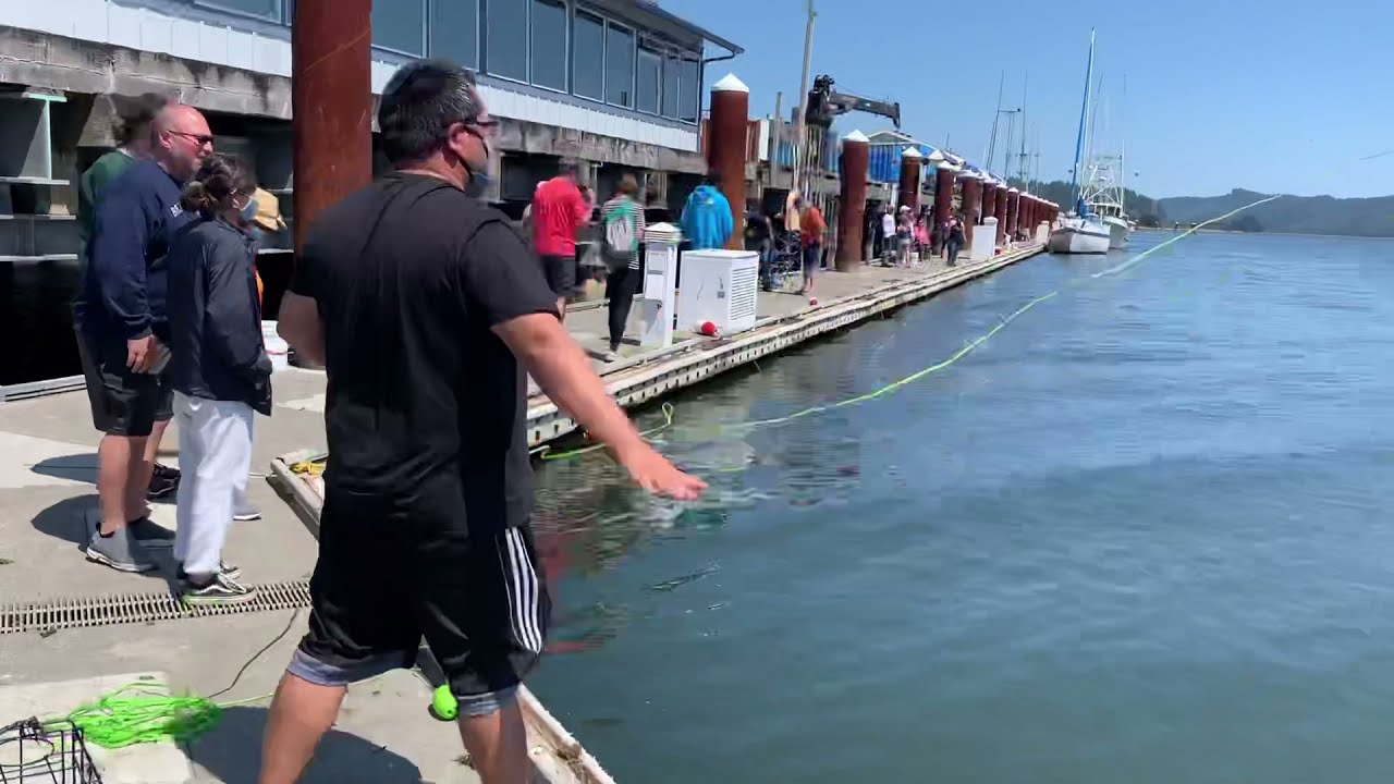 Easy Crabbing in Florence Oregon YouTube