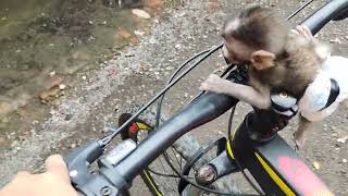 Ngajakin Baby Monpay Jalan Jalan