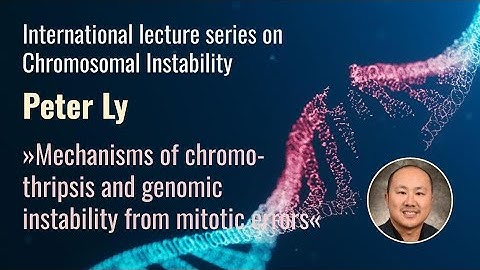 Peter Ly »Mechanisms of chromothripsis and genomic instability from mitotic errors«