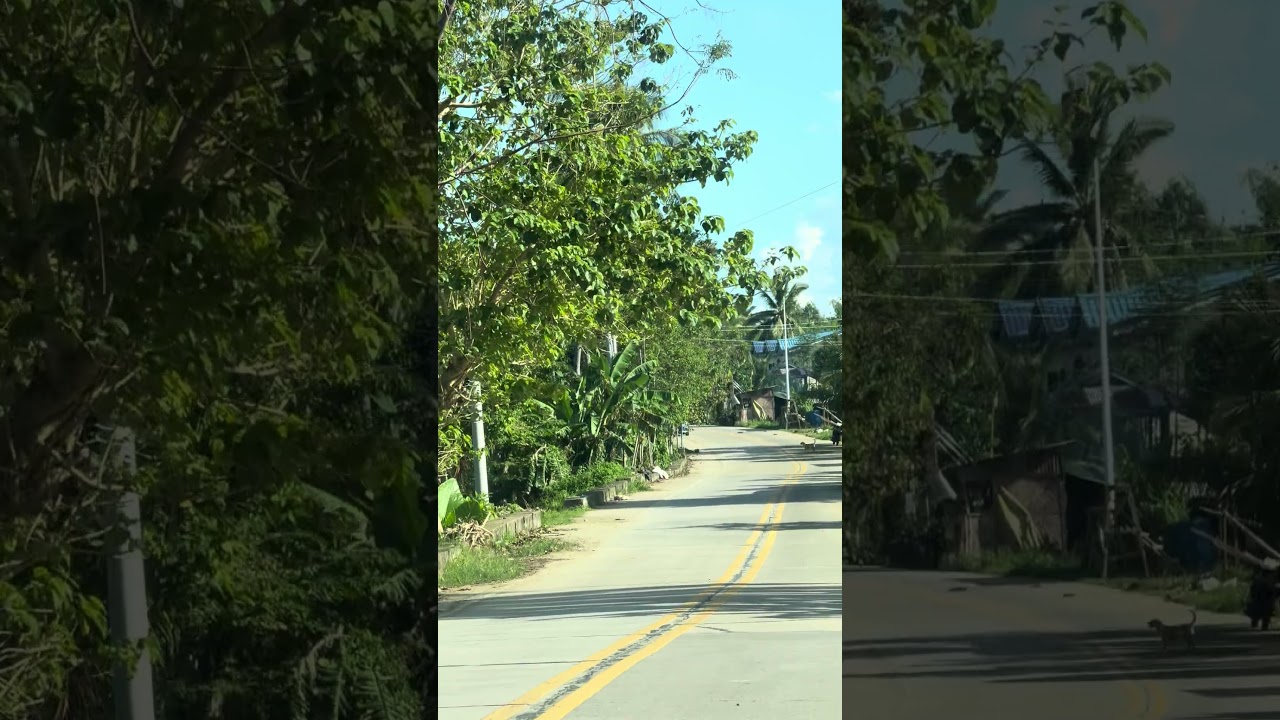 Drive to Moalboal, Cebu, Philippines