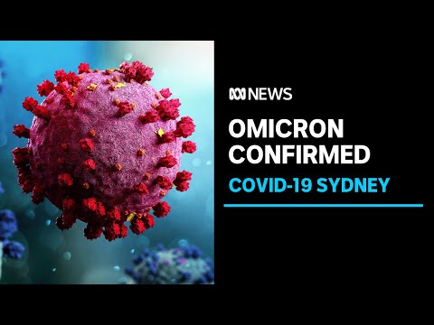 Omicron COVID variant hits Australia with two cases arriving in Sydney | ABC News
