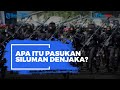 Apa Itu Pasukan Siluman Denjaka?