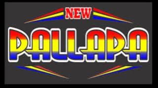 New Pallapa - Istri Saleha lirik
