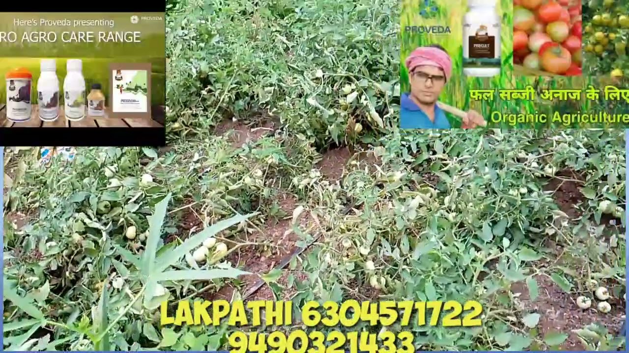 Proveda India company Agriculture result