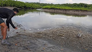 CAMARÕES EM TODO O LAGO, NESSE LUGAR SEMPRE TEM.