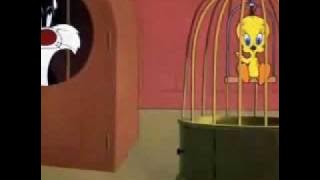 Eu acho que eu vi um gatinho