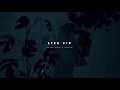 Steve Aoki & KREAM - LIES (VIP Mix) [Official Audio]