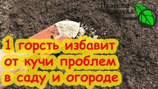 картинка: СЫПЬТЕ ХОТЬ ПО СНЕГУ! Это удобрение осенью важнее всех! Рейтинг кальциевых удобрений: какие, сколько