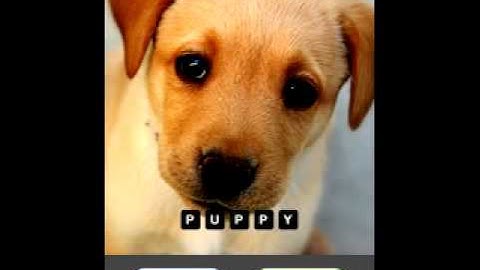 Hi Guess The Pic game answers level 1