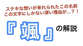 漢字辞典 颯 の読み方 意味 由来について 漢字 颯 意味