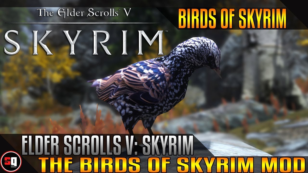 The Elder Scrolls V Skyrim Birds Of Skyrim Mod Youtube