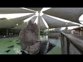 VR180 - SeaWorld San Diego Zoo Days: BBQ & Brews - Stingray Pool - Saturday 19th 2020