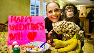 Valentines Day Baby Chimp
