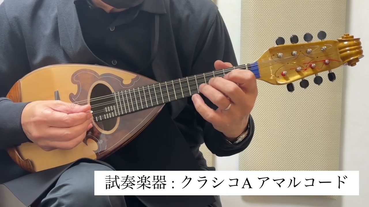 Calace クラシコA Amarcord マンドリン カラーチェ 【 丸井錦糸町店