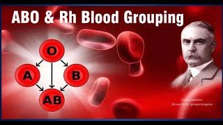 ABO and Rh Blood Grouping, Dr Vashundhara Singh, Transfusion Medicine, SGPGIMS, Lucknow