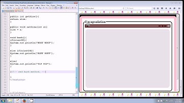 Encapsulation - Head First Java college book Ch4
