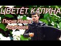 «Цветёт калина» 🎶песня под баянчик 🎵 слова М.Даркин, И.Адыбаев, музыка И.Адыбаев