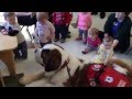 Walterstbernard with kids at preschool and nursery