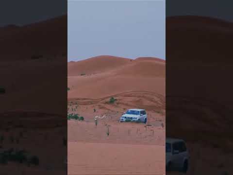 شيلة سهيل بان اداء المنشد مفضي سعيد صوت الشمال 2020 اضغط اشتراك ولايك