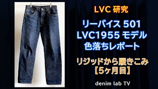リーバイス501 LVC1955モデルの色落ちレポート / リジッドから5ヶ月目