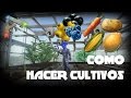 ARK Survival Evolved -  Como Cultivar Vegetales, Bayas y hacer sistema de tuberias