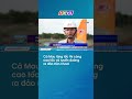 Cà Mau tăng tốc thi công cao tốc và tuyến đường ra đảo Hòn Khoai #thvl24news #caotoc #camau