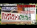 大型水槽設置計画SEASON1#05「水槽設置！バックスクリーンと冬の水温対策はプラダンで十分なのです」【アクアリウム】【熱帯魚】