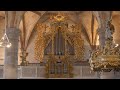 Justinus Will - Pater Justinus | Aria Pastorella