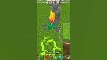 I Made a Graveyard In Minecraft